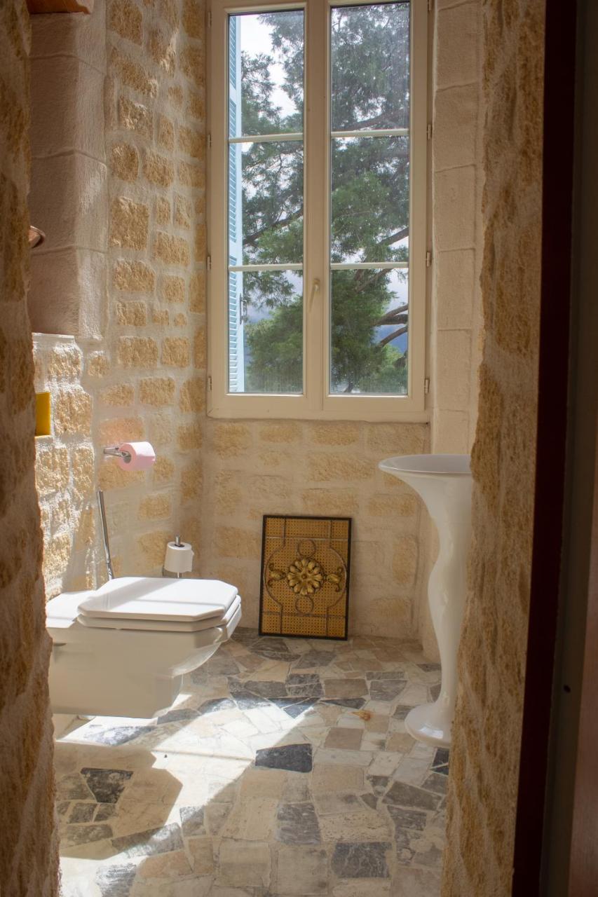 Sévignacq-Meyracq Chateau De Druon المظهر الخارجي الصورة